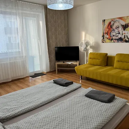 Penzion Accom 招待所 *