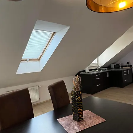 招待所 Penzion Accom Trenčín